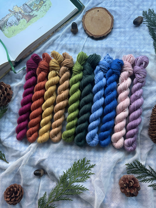 10 Tonal Mini Skein Set - Winnie the Pooh - Dyed to Order 6-8 Weeks - NEW