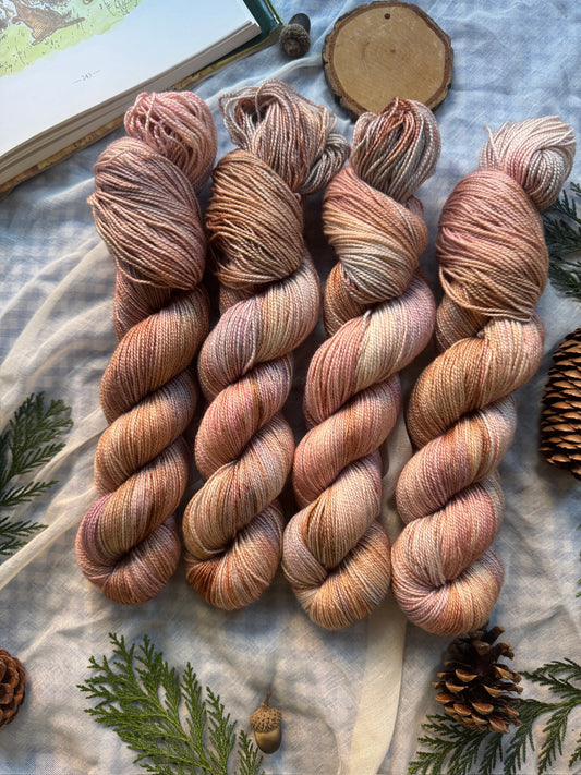 Kanga & Roo - Cosy DK - Winnie the Pooh - hand dyed yarn - Ready to Ship - NEW