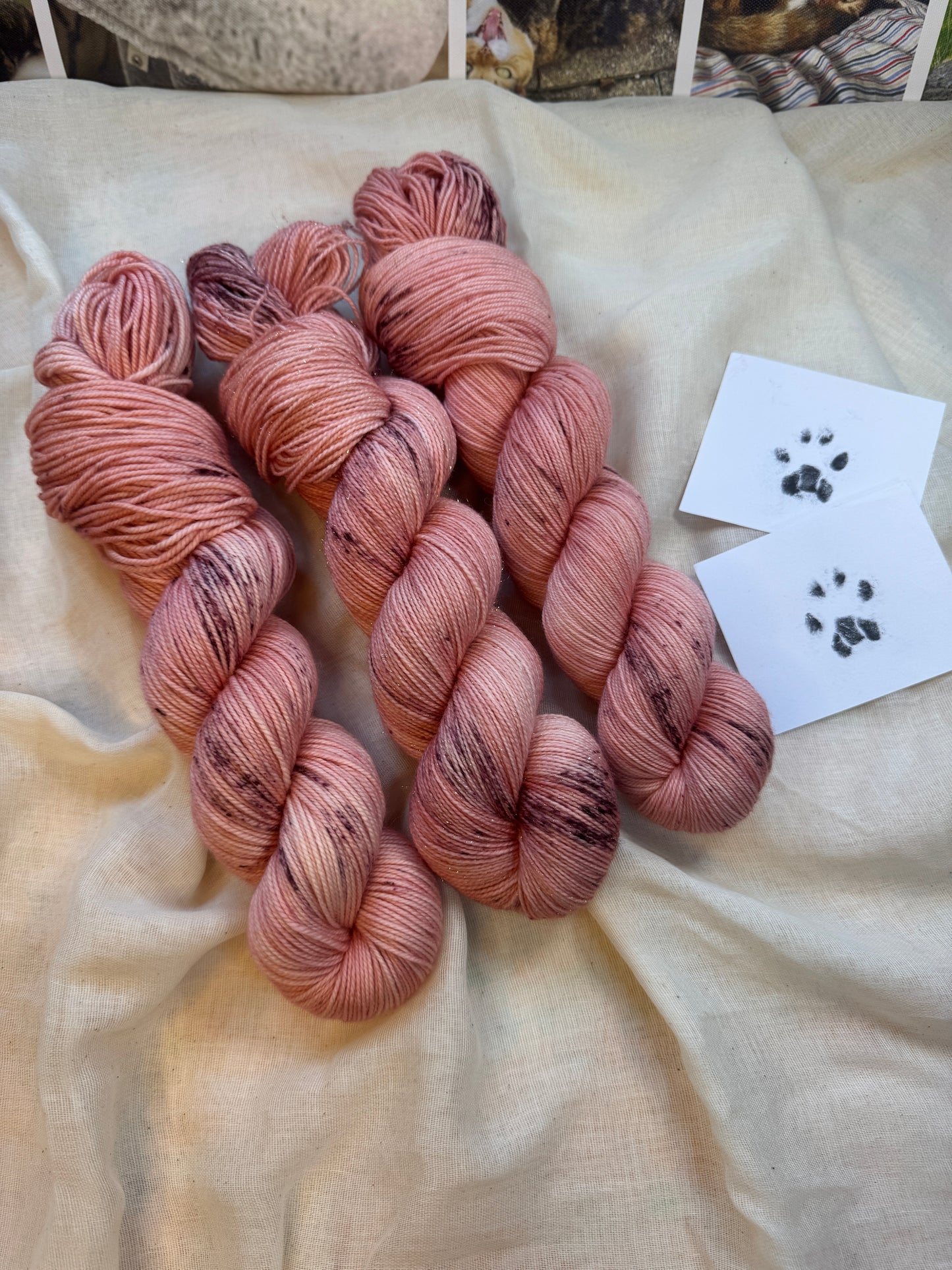 Toebeans - Cats collection - Hand Dyed Yarn - Dyed to Order delivery pre Christmas - NEW
