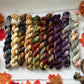 Pumpkin Spice collection Mini Skein set - Hand Dyed 100% Merino Cosy 4 ply Yarn - 10 x 20g skeins - NEW