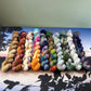 Summer Camp in Maine collection Mini Skein set - Hand Dyed 100% Superwash Merino DK or 4ply Yarn - 10 x 20g skeins