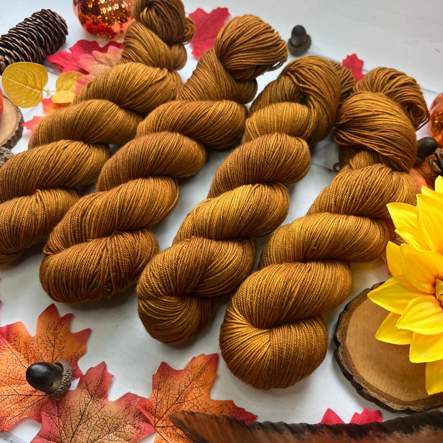 Apple Cider Tonal - Pumpkin Spice Collection - Hand Dyed Yarn 100% Superwash Merino Cosy 4 Ply