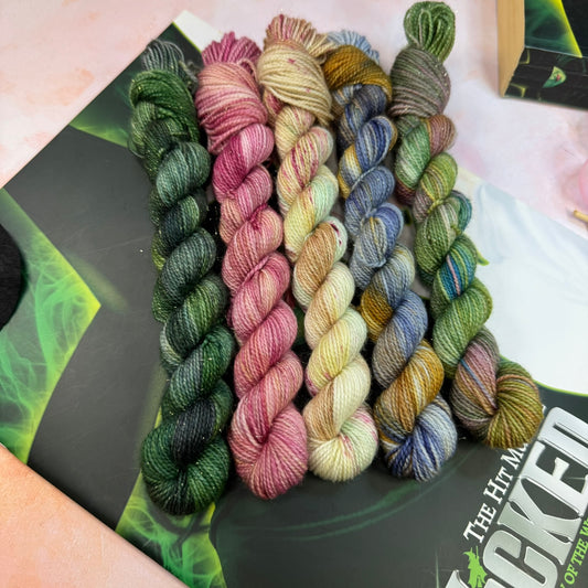 Wicked Musicals Collection Cosy DK Mini skeins x 5 - Hand Dyed Yarn