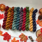 Pumpkin Spice Tonals collection Mini Skein set - Hand Dyed 100% Merino Cosy 4 Ply Yarn - 10 x 20g skeins - NEW