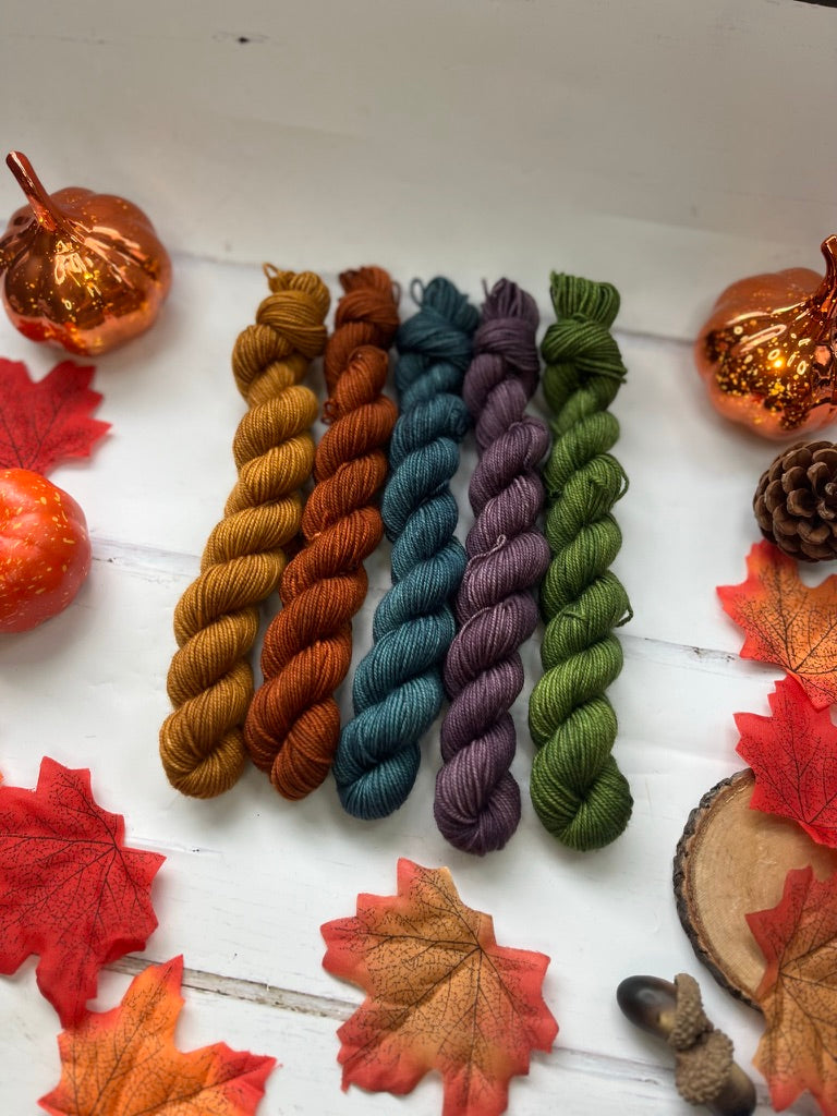 Autumn vibes Cosy 4 Ply Mini Skein set Hand Dyed 10% Yarn - 5x 20g skeins - NEW