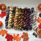 Pumpkin Spice collection Mini Skein set - Hand Dyed 100% Merino Cosy 4 ply Yarn - 10 x 20g skeins - NEW