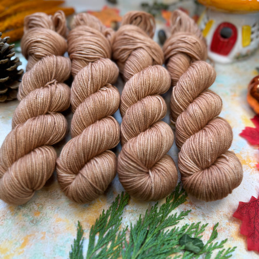 Cinnamon Sugar - Cosy DK - Season of Magic Collection - Hand Dyed Yarn - Ready to Ship