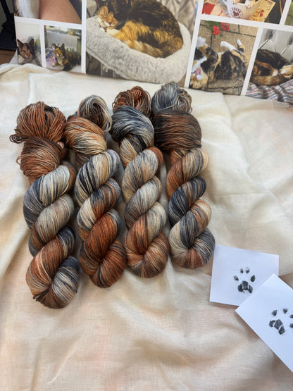 Stevie the Naughty Tortie - Cats collection - Hand Dyed Yarn - Dyed to Order delivery pre Christmas - NEW