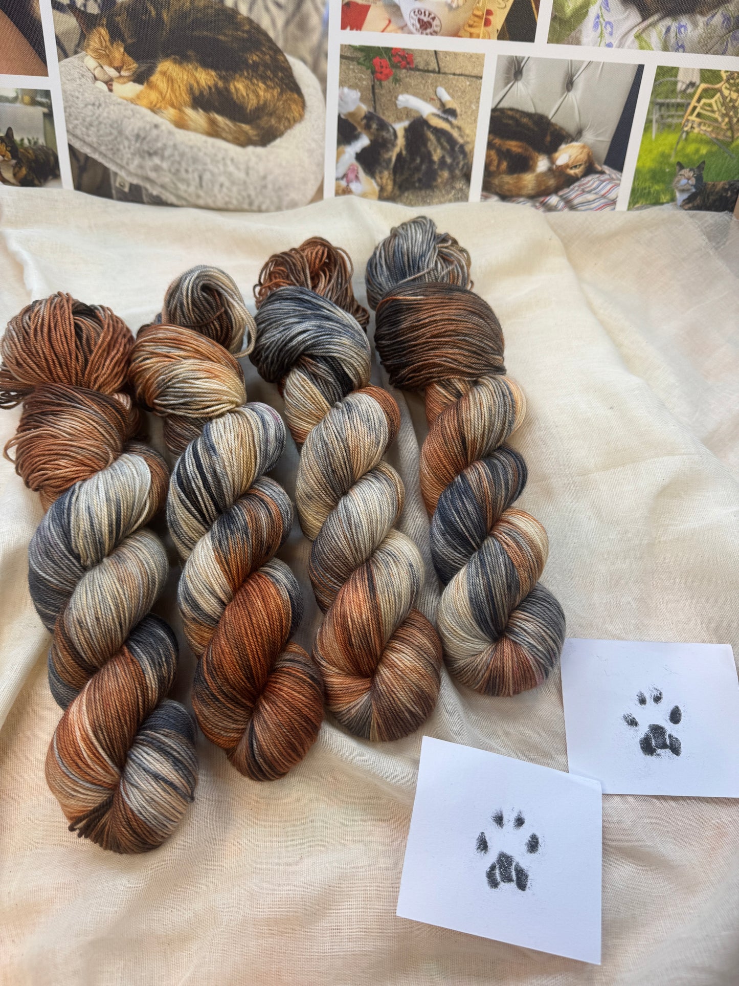 Stevie the Naughty Tortie - Cats collection - Hand Dyed Yarn - Dyed to Order delivery pre Christmas - NEW
