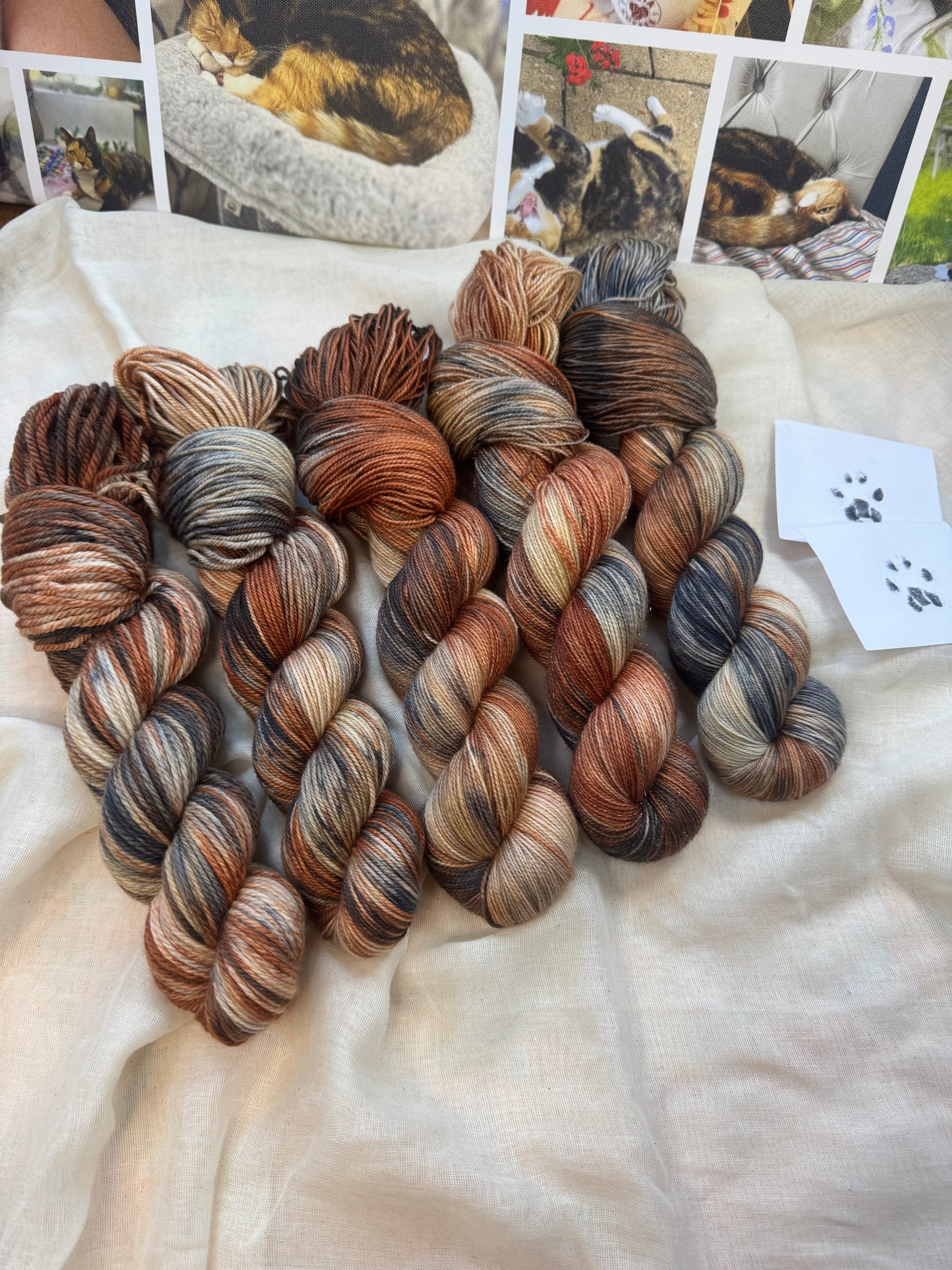 Stevie the Naughty Tortie - Cats collection - Hand Dyed Yarn - Dyed to Order delivery pre Christmas - NEW