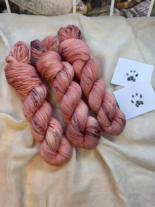 Toebeans - Cats collection - Hand Dyed Yarn - Dyed to Order delivery pre Christmas - NEW