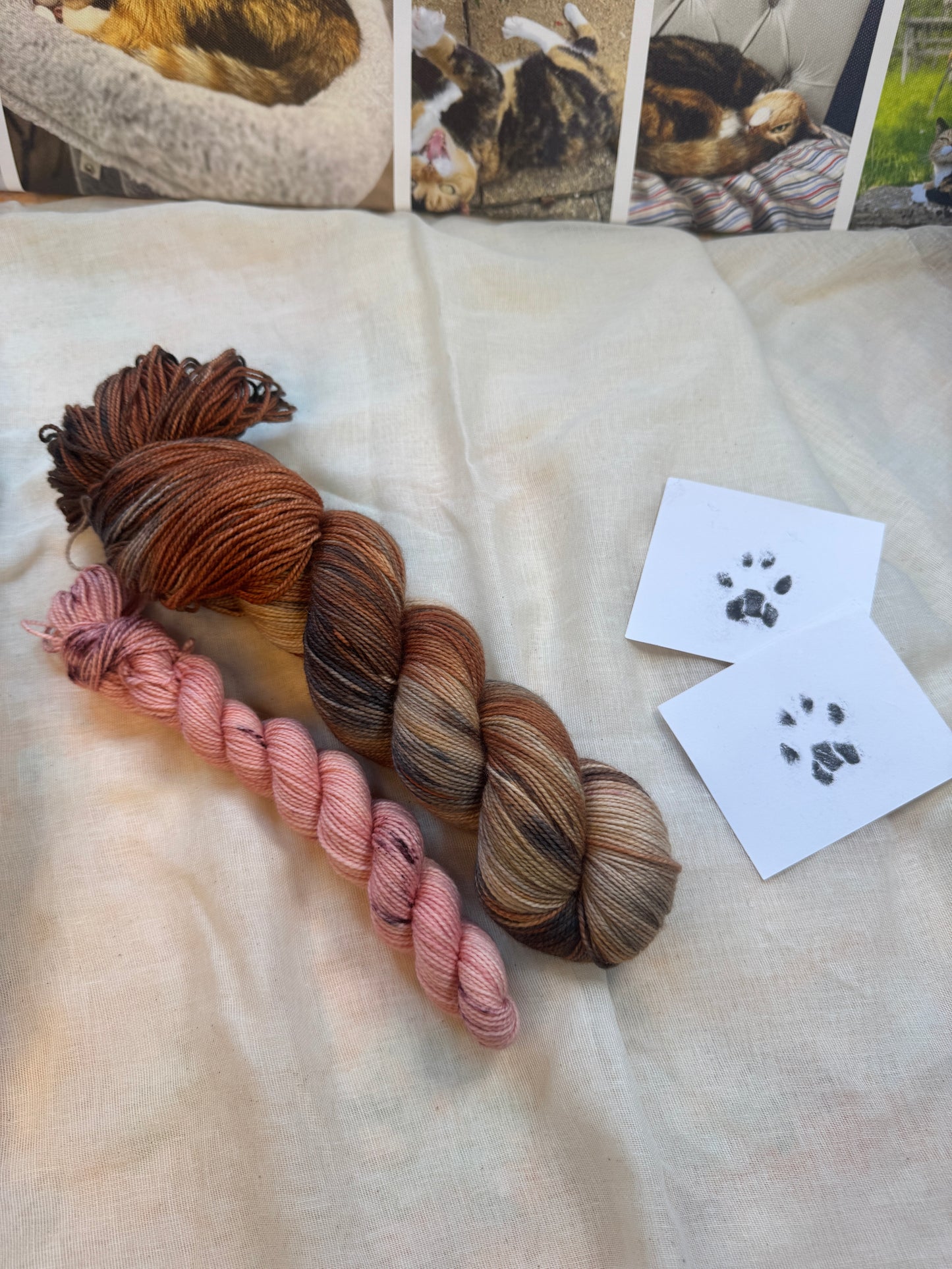 Stevie the Naughty Tortie - Cats collection - Hand Dyed Yarn - Dyed to Order delivery pre Christmas - NEW