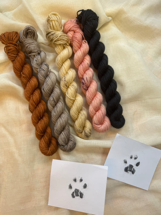 Cats collection tonal mini skeins - Hand Dyed Yarn - Dyed to Order delivery pre Christmas - NEW