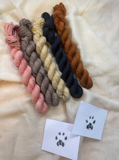 Cats collection tonal mini skeins - Hand Dyed Yarn - Dyed to Order delivery pre Christmas - NEW